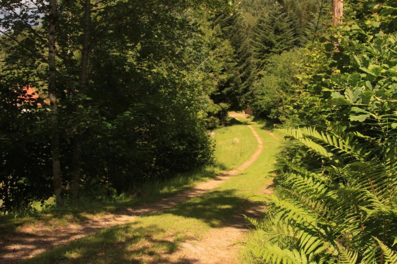 Notre Dame Des Monts Hotel Ban-sur-Meurthe-Clefcy